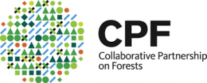 Collaborative Partnership on Forests (CPF)